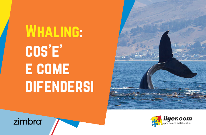 Whaling: cos'è e come difendere la tua azienda da questa forma di phishing